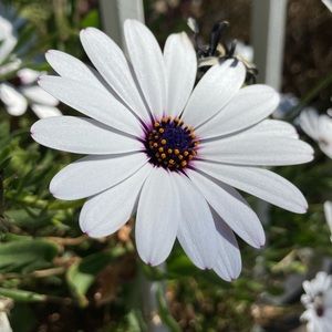 Meet your Posher, Matias